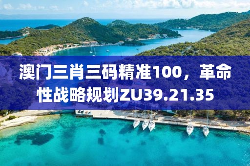 澳门三肖三码精准100，革命性战略规划ZU39.21.35