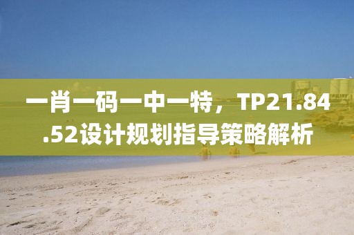 一肖一码一中一特，TP21.84.52设计规划指导策略解析