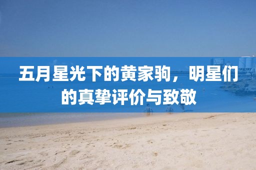 五月星光下的黄家驹，明星们的真挚评价与致敬