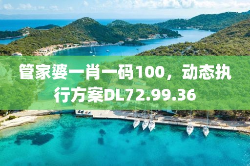 管家婆一肖一码100，动态执行方案DL72.99.36