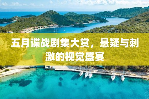 五月谍战剧集大赏，悬疑与刺激的视觉盛宴