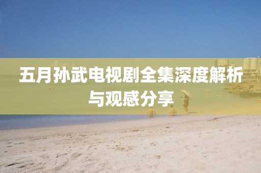 五月孙武电视剧全集深度解析与观感分享