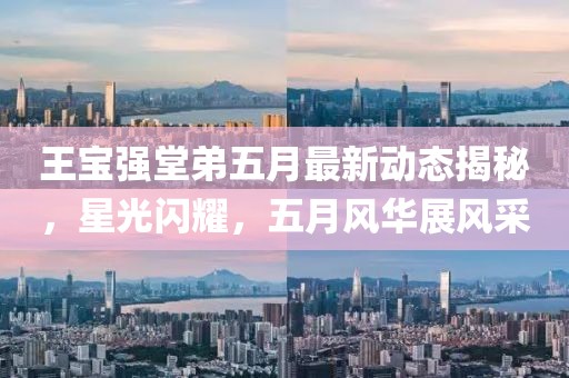 王宝强堂弟五月最新动态揭秘，星光闪耀，五月风华展风采