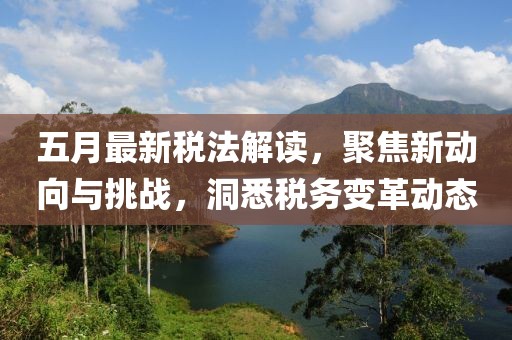 五月最新税法解读，聚焦新动向与挑战，洞悉税务变革动态