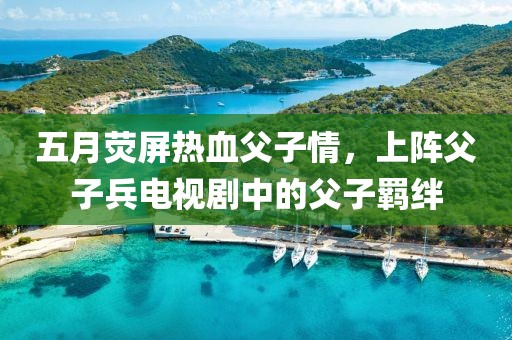 五月荧屏热血父子情，上阵父子兵电视剧中的父子羁绊