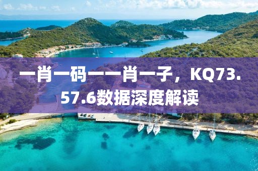 一肖一码一一肖一子，KQ73.57.6数据深度解读