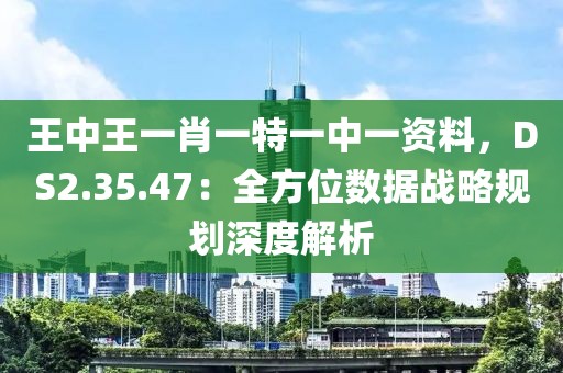 王中王一肖一特一中一资料，DS2.35.47：全方位数据战略规划深度解析