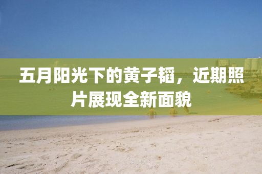 五月阳光下的黄子韬，近期照片展现全新面貌