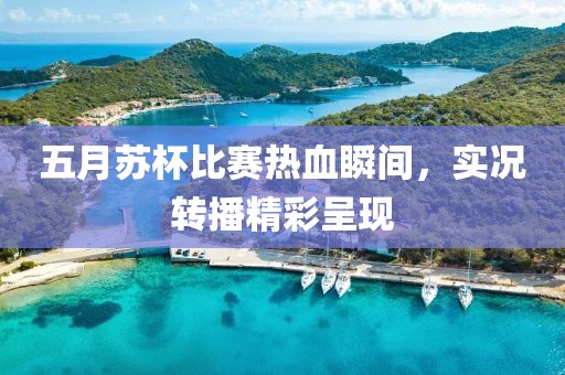 五月苏杯比赛热血瞬间，实况转播精彩呈现