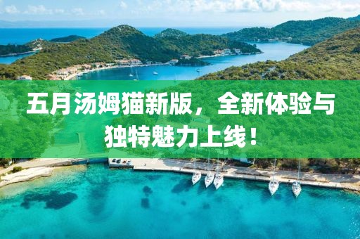 五月汤姆猫新版，全新体验与独特魅力上线！
