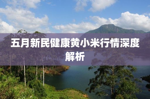 五月新民健康黄小米行情深度解析