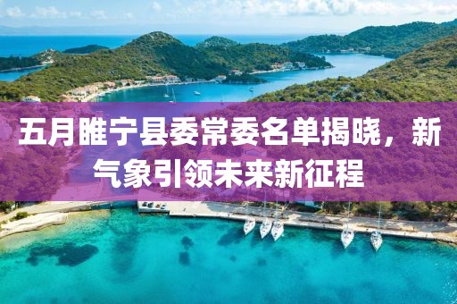 五月睢宁县委常委名单揭晓，新气象引领未来新征程