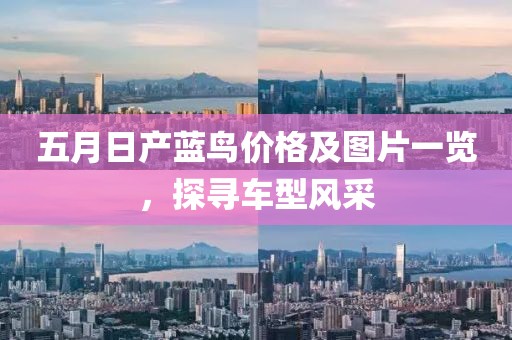 五月日产蓝鸟价格及图片一览，探寻车型风采