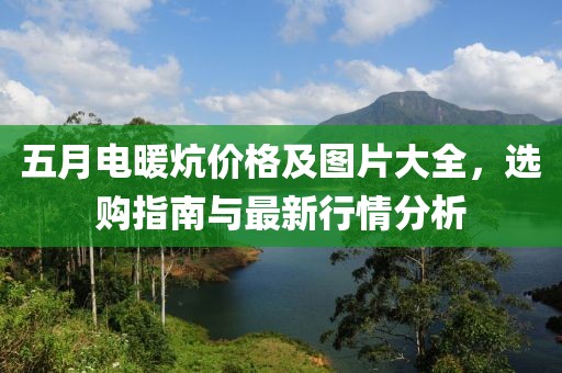 五月电暖炕价格及图片大全，选购指南与最新行情分析