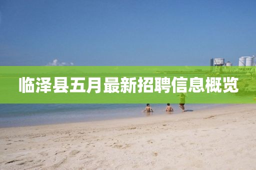 临泽县五月最新招聘信息概览