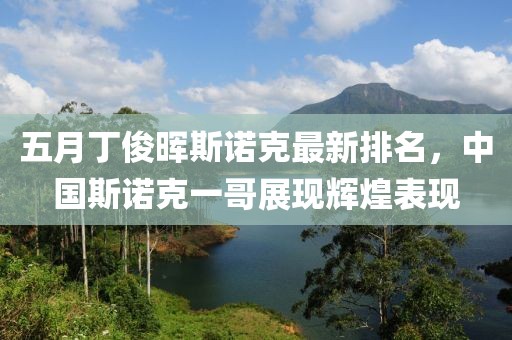 五月丁俊晖斯诺克最新排名，中国斯诺克一哥展现辉煌表现