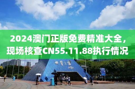 2024澳门正版免费精准大全，现场核查CN55.11.88执行情况