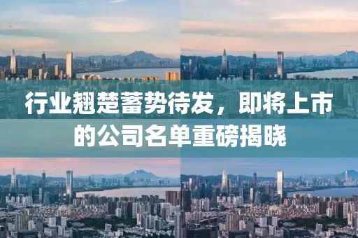 行业翘楚蓄势待发，即将上市的公司名单重磅揭晓