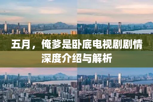 五月，俺爹是卧底电视剧剧情深度介绍与解析