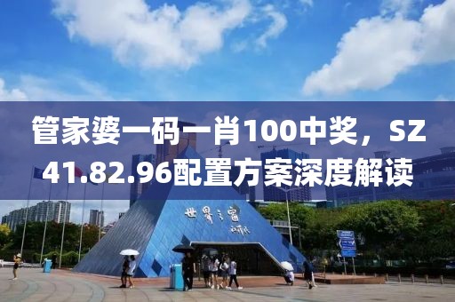 管家婆一码一肖100中奖，SZ41.82.96配置方案深度解读