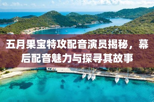 五月果宝特攻配音演员揭秘，幕后配音魅力与探寻其故事