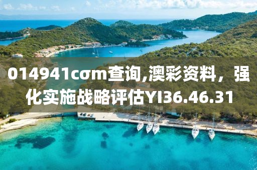 014941cσm查询,澳彩资料，强化实施战略评估YI36.46.31