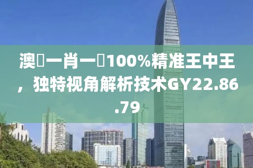澳門一肖一碼100%精准王中王，独特视角解析技术GY22.86.79