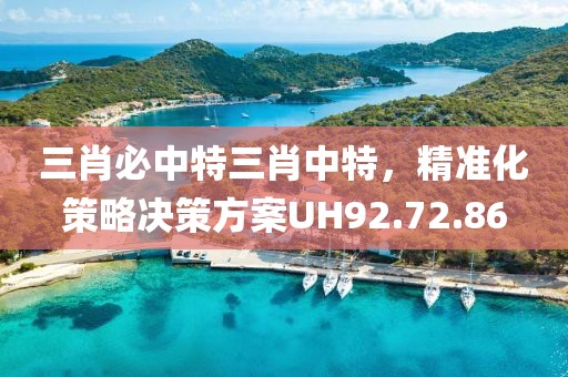 三肖必中特三肖中特，精准化策略决策方案UH92.72.86