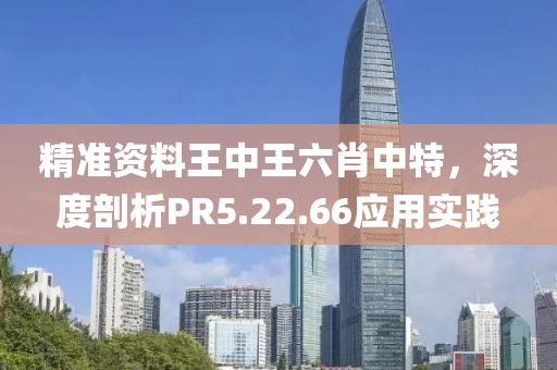 精准资料王中王六肖中特，深度剖析PR5.22.66应用实践