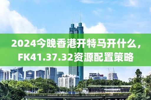 2024今晚香港开特马开什么，FK41.37.32资源配置策略