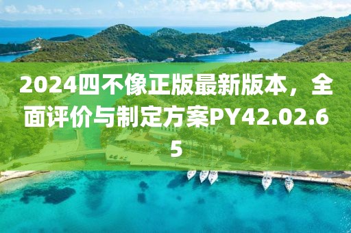 2024四不像正版最新版本，全面评价与制定方案PY42.02.65