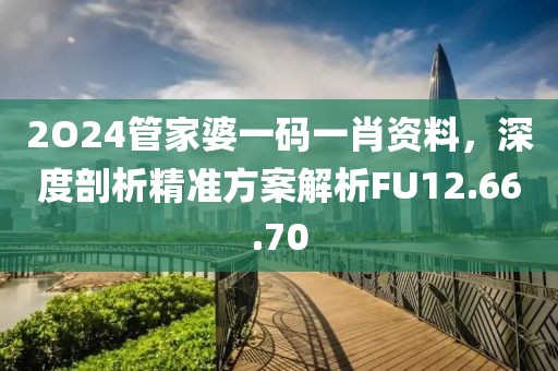 2O24管家婆一码一肖资料，深度剖析精准方案解析FU12.66.70