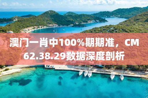 澳门一肖中100%期期准，CM62.38.29数据深度剖析