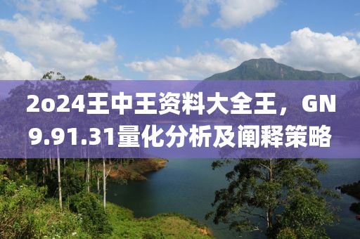 2o24王中王资料大全王，GN9.91.31量化分析及阐释策略