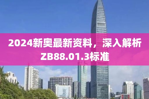 2024新奥最新资料，深入解析ZB88.01.3标准