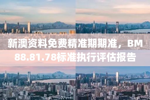 新澳资料免费精准期期准，BM88.81.78标准执行评估报告