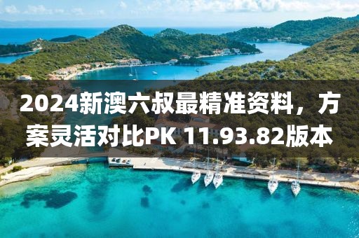 2024新澳六叔最精准资料，方案灵活对比PK 11.93.82版本