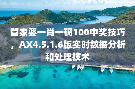 管家婆一肖一码100中奖技巧，AX4.5.1.6版实时数据分析和处理技术