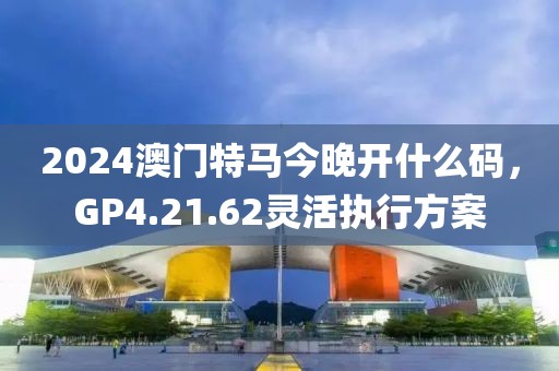 2024澳门特马今晚开什么码，GP4.21.62灵活执行方案
