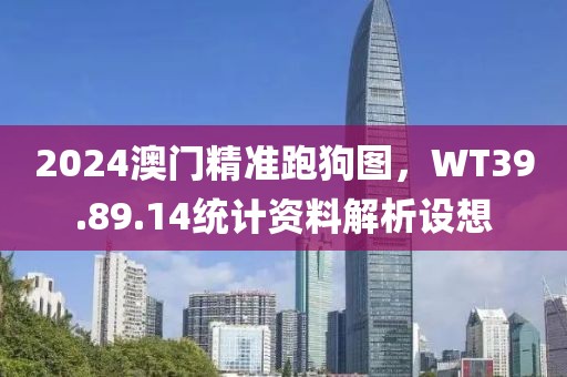 2024澳门精准跑狗图，WT39.89.14统计资料解析设想