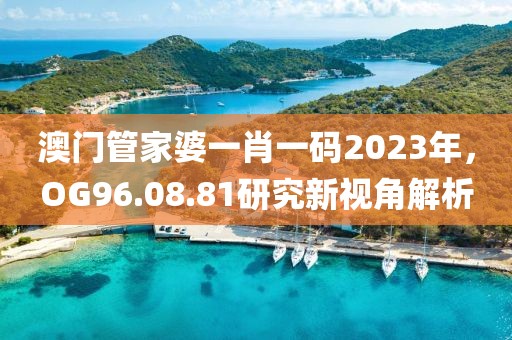 澳门管家婆一肖一码2023年，OG96.08.81研究新视角解析