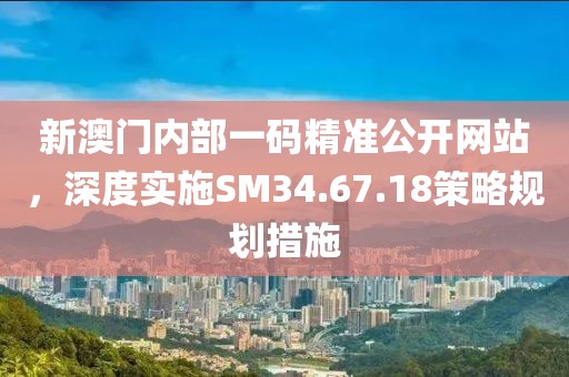 新澳门内部一码精准公开网站，深度实施SM34.67.18策略规划措施