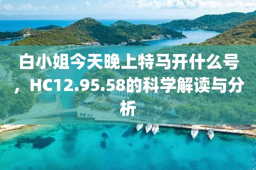 白小姐今天晚上特马开什么号，HC12.95.58的科学解读与分析