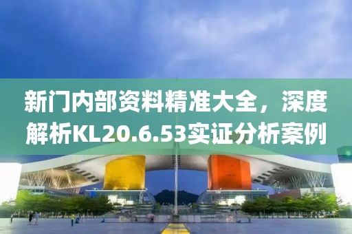 新门内部资料精准大全，深度解析KL20.6.53实证分析案例