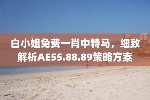 白小姐免费一肖中特马，细致解析AE55.88.89策略方案