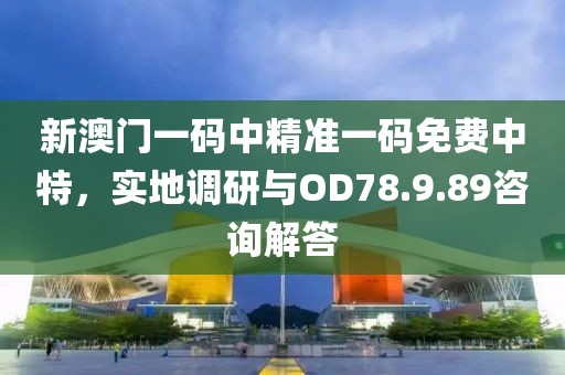 新澳门一码中精准一码免费中特，实地调研与OD78.9.89咨询解答
