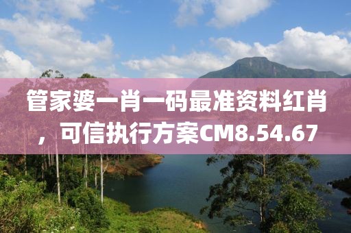 管家婆一肖一码最准资料红肖，可信执行方案CM8.54.67