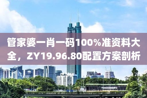 管家婆一肖一码100%准资料大全，ZY19.96.80配置方案剖析