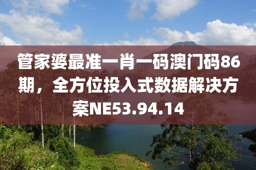 管家婆最准一肖一码澳门码86期，全方位投入式数据解决方案NE53.94.14
