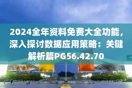 2024全年资料免费大全功能，深入探讨数据应用策略：关键解析篇PG56.42.70